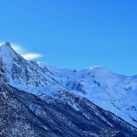 Chalet Asa 426 M2 Chamonix